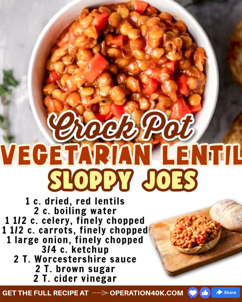 Amazing Crock Pot Vegetarian Lentil Sloppy Joe Recipe