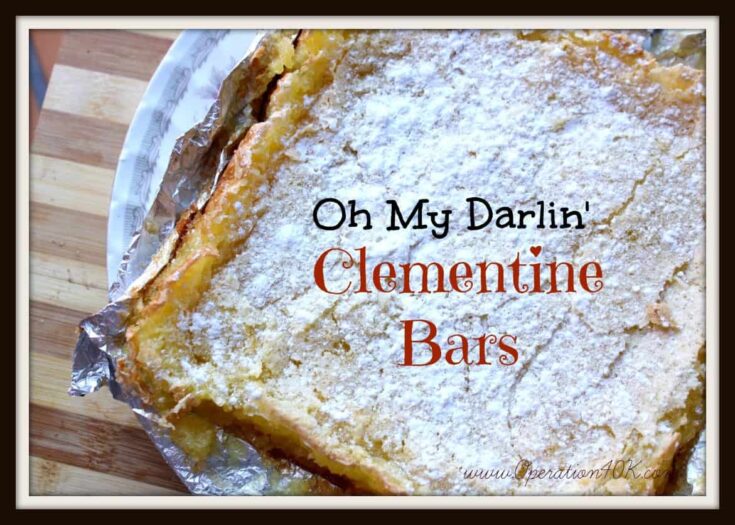My Darling Clementine Bars