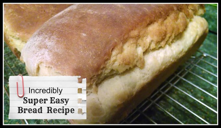 Tupperware Bread