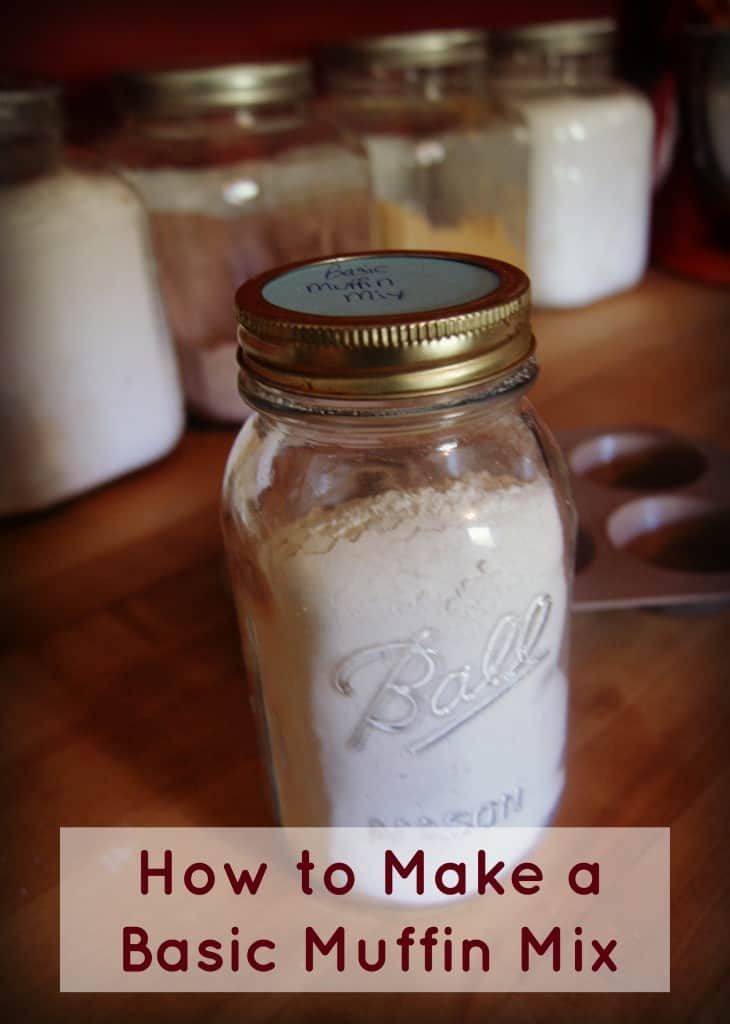 Cooking Class 101: How To Make A Basic Muffin Mix