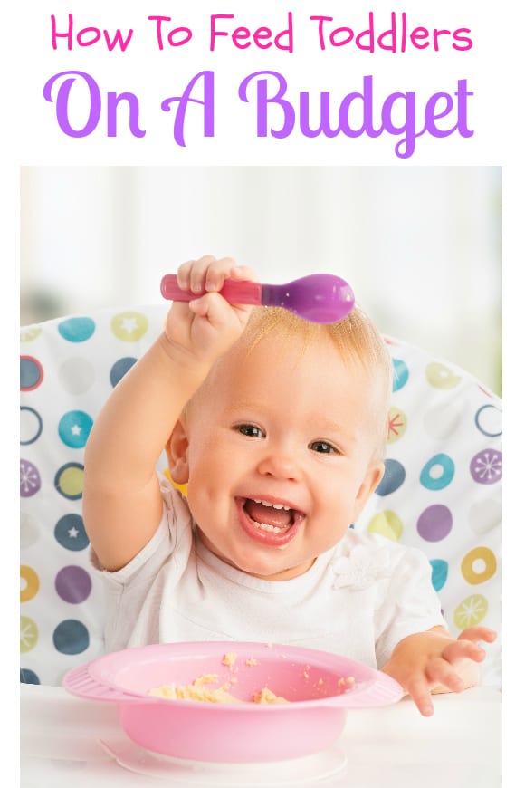 How To Feed Toddlers On A Budget