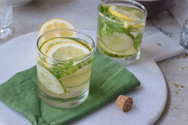 Refresh with a Mojito Mocktail