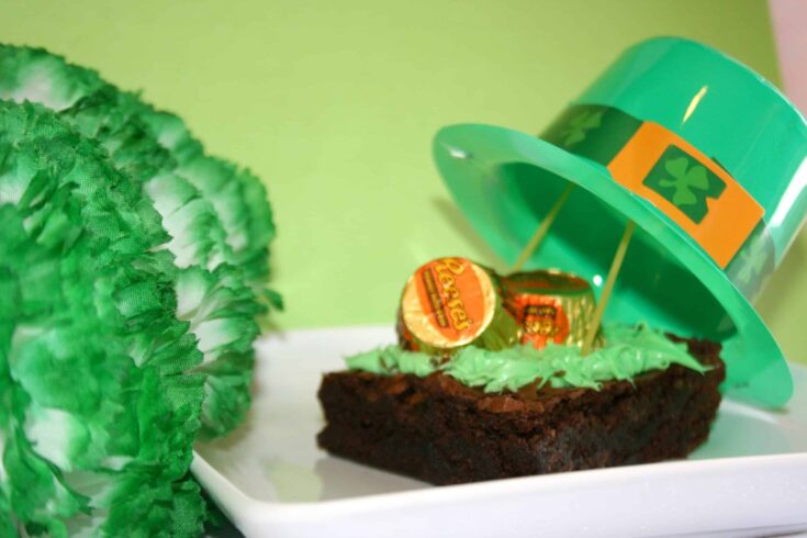 Leprechaun Trap project