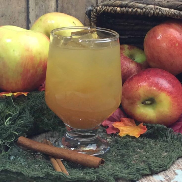Vanilla Apple Cider Cocktail