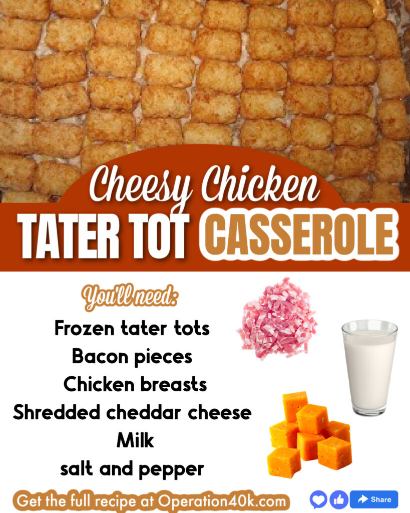 Easy Chicken Tater Tots Casserole For the InstantPot