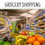 How to Save Money Grocery Shopping