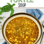 how to make the best mock turtle soup recipe