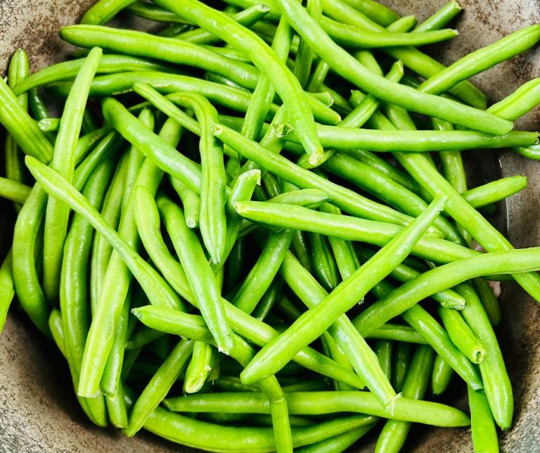 Kentucky Wonder Beans Recipe A Delicious and Easy Side Dish